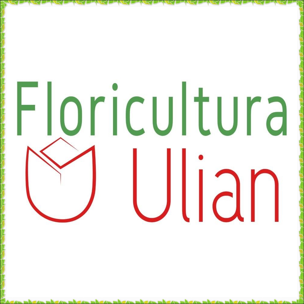 FLORICULTURA ULIAN